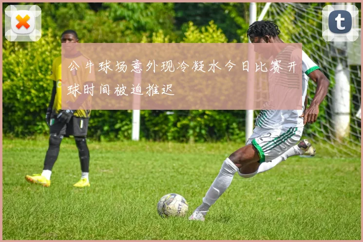 公牛球场意外现冷凝水今日比赛开球时间被迫推迟