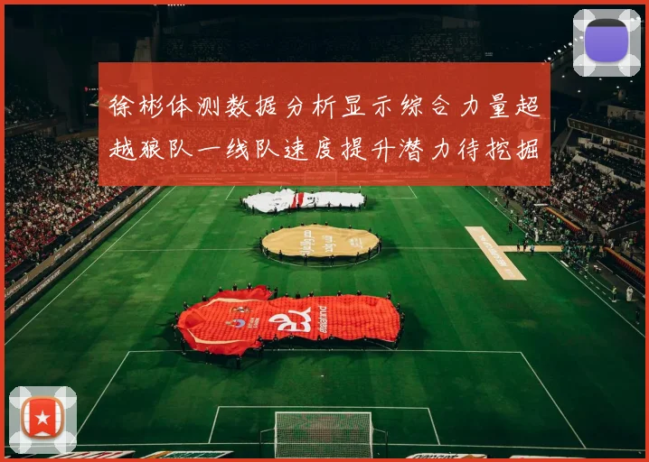 徐彬体测数据分析显示综合力量超越狼队一线队速度提升潜力待挖掘